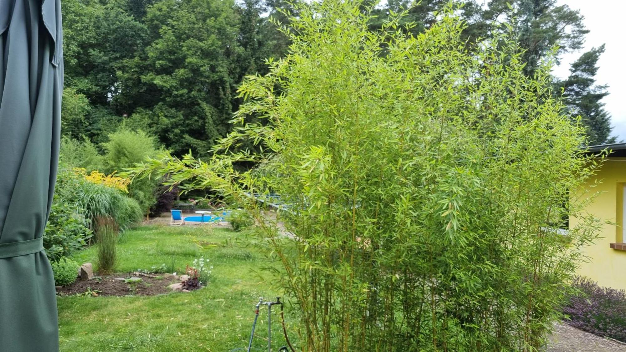Ferienwohnung Schorfheide Krueger Joachimsthal Zewnętrze zdjęcie
